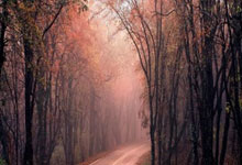 佳居乐油烟机预约登记中心详述あ佳居乐油烟机柜子多少钱一台